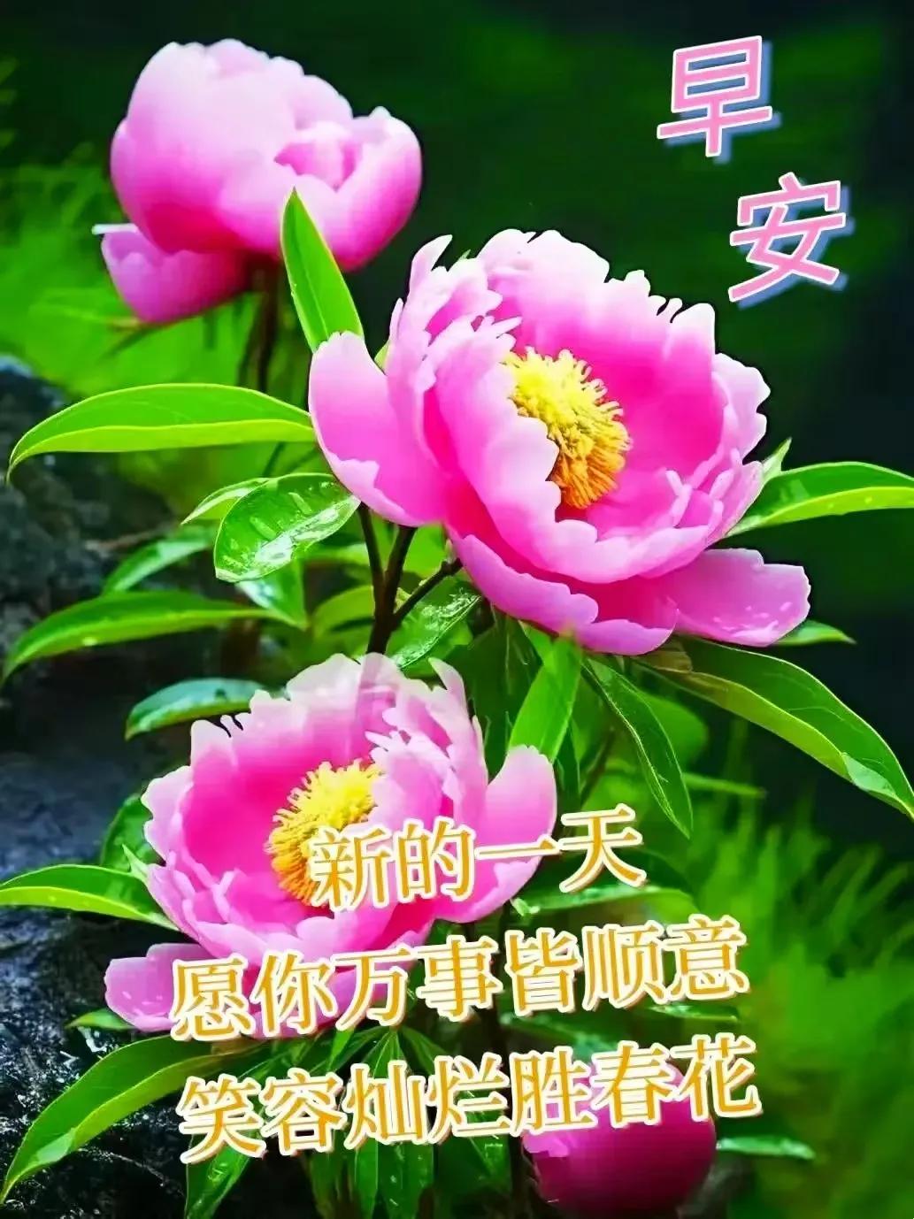 生活溫暖向太陽，
人生浪漫向月亮，
平凡日子更美好、
露出甜蜜與微笑，
願平安快