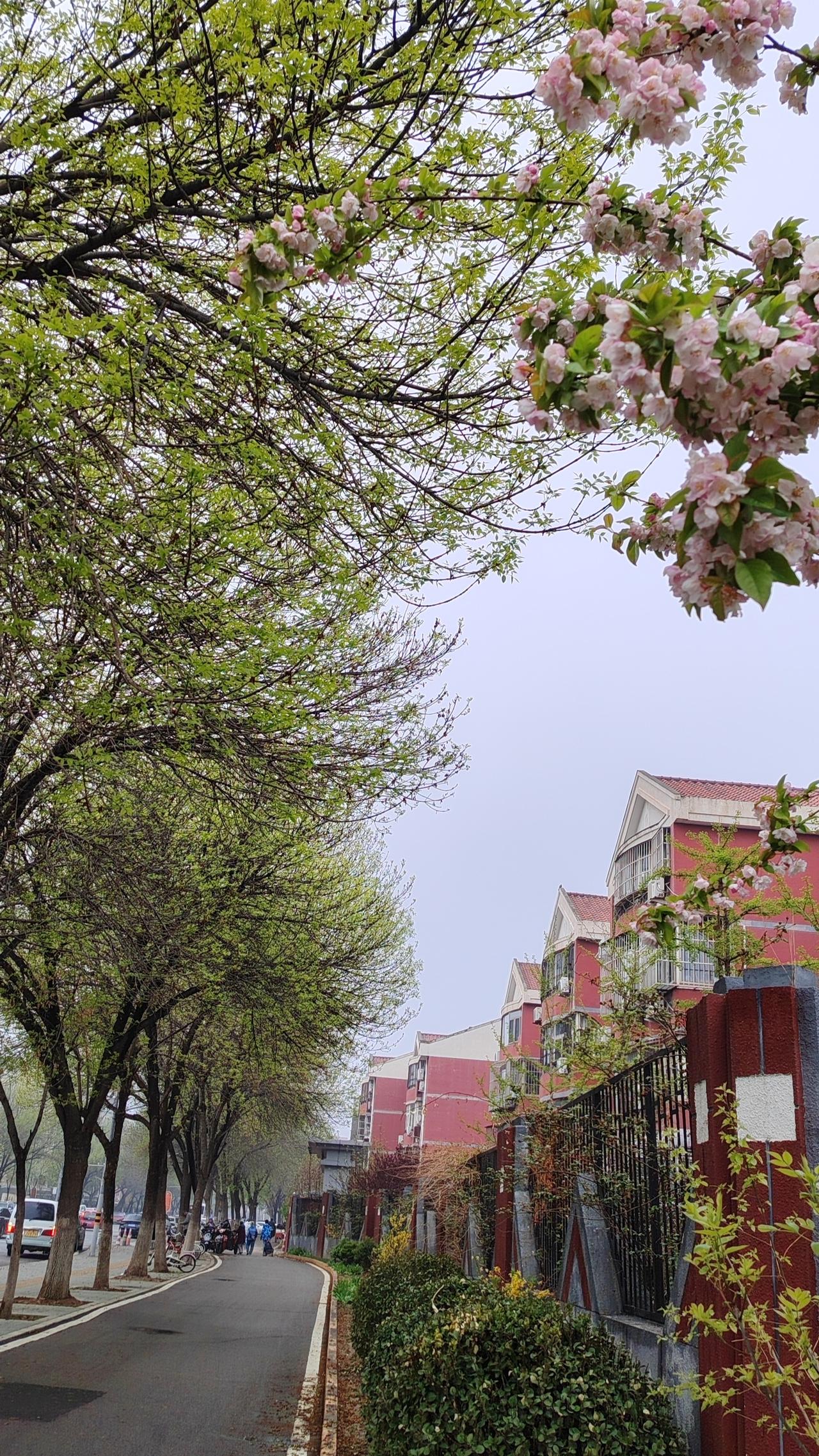 小故事：行政专员小张负责整理公司档案，别人觉得枯燥，他却设计了分类标签和检索系统