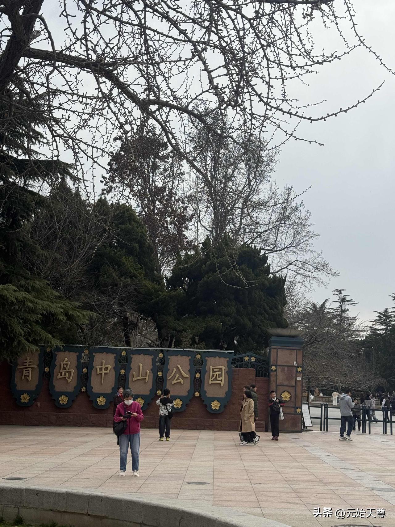 春日生活打卡季我昨天继续打卡青岛中山公园了，昨天是迎接樱花节的预演人真的多，幼儿