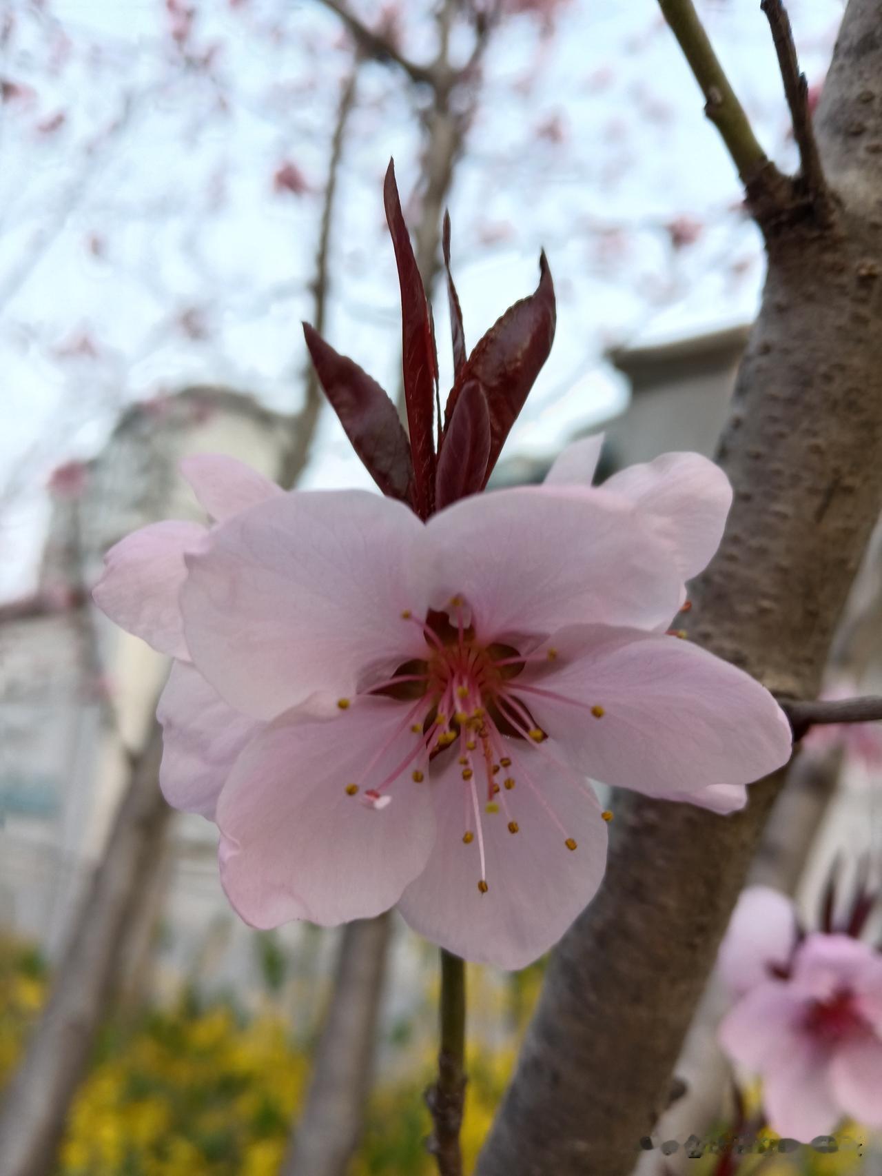 科学难以解释的玄学，照着做能诸事顺遂。
这篇文章用生活常识和科学逻辑，把老辈的“