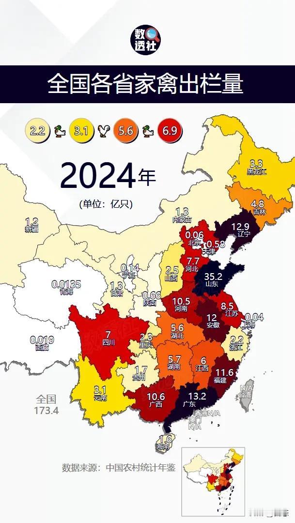 2024年全国各省市家禽出栏量对比，山东35.2亿只排名第一，广东13.2亿只排