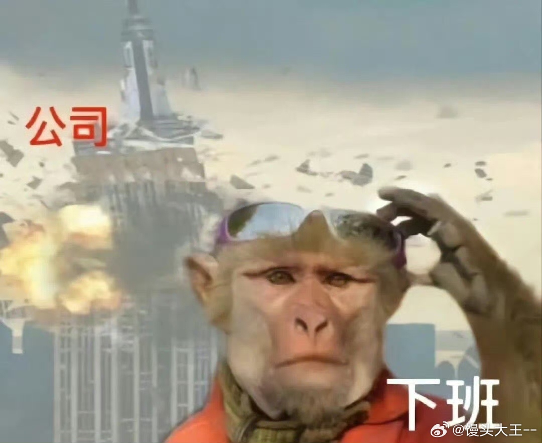 最尊重猴的剧组出现了 很多职场观众被吗喽的戏份打动，角色敢于表达自我，这样接地气
