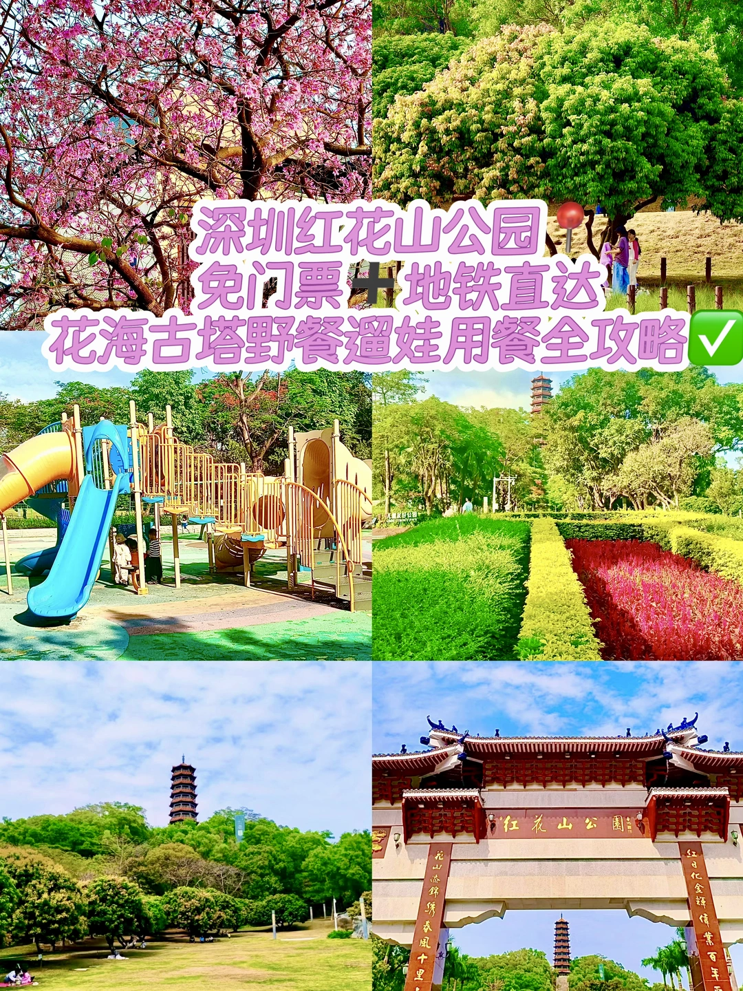 深圳红花山公园花海古塔野餐遛娃用餐全攻略