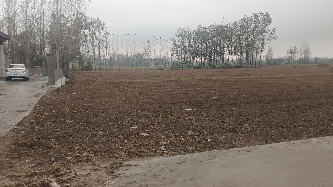 霜降过后种小麦算不算晚?作者加速成长计划

霜降过后，种小麦不早也不算晚。早播小
