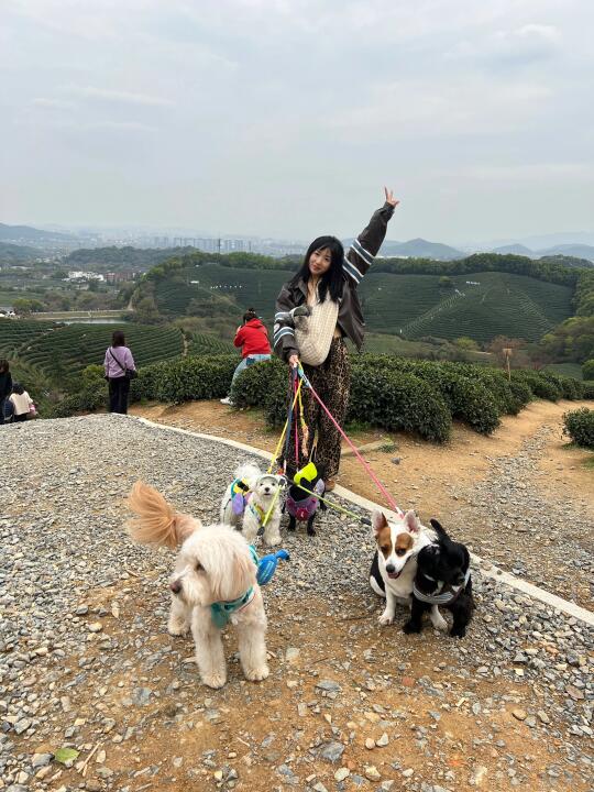 旺旺队爬光明寺水库