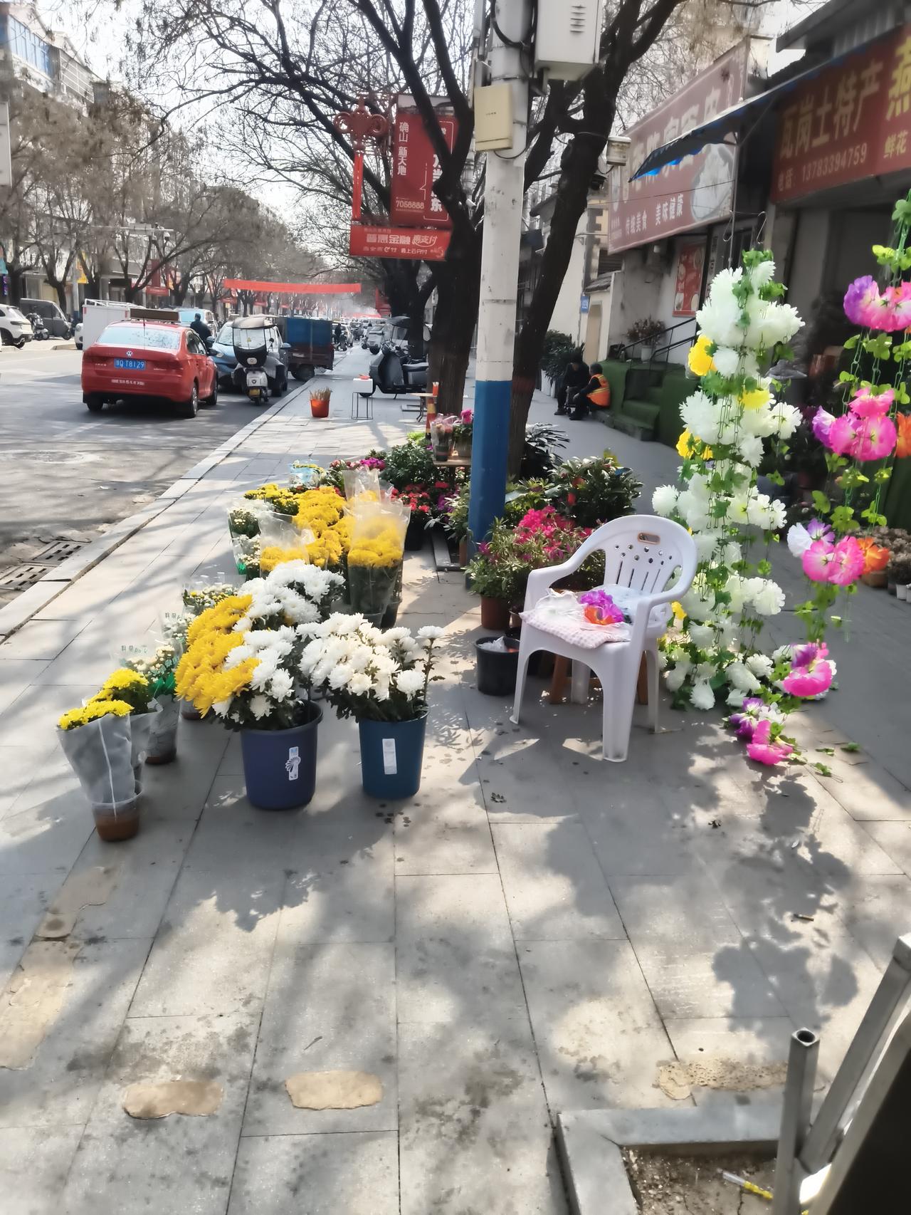 记录我的2026每张从花店门口过，看到他们在这里卖花儿，卖的还不便宜呢，一盆要七