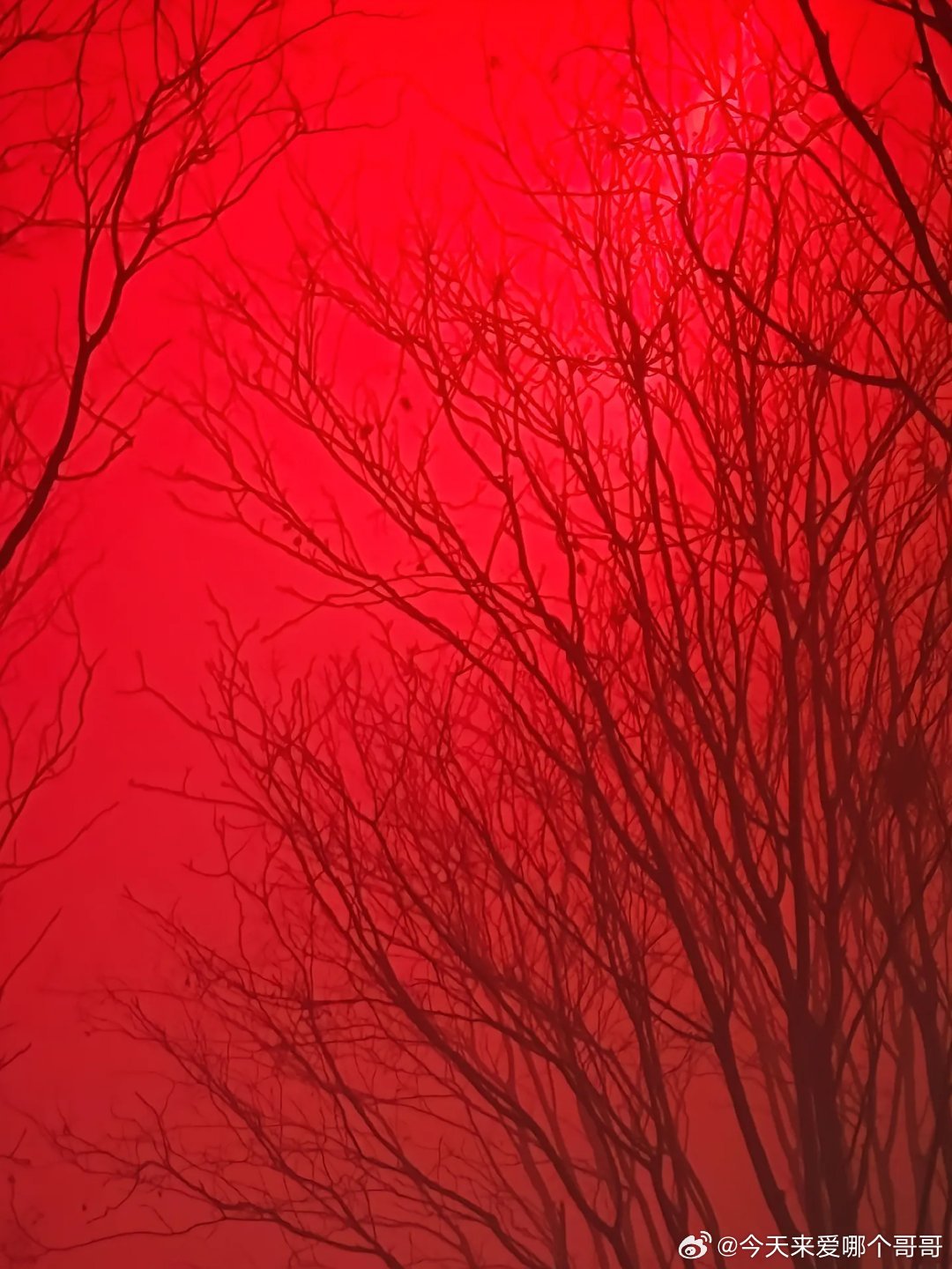 妈耶好有末日文无限流的感觉，《十日终焉》成为史上第一个拥有沉浸式围读体验感的剧组