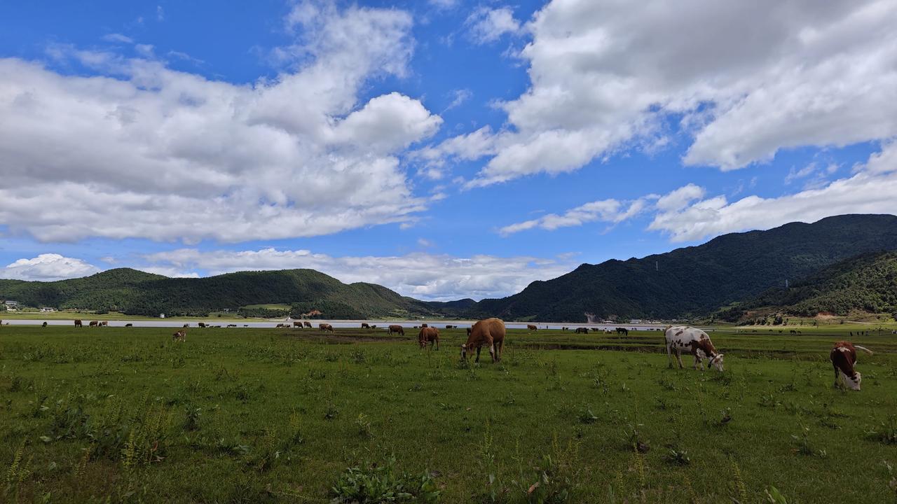 #晒晒你在旅行中拍过最美的天空#青青河边草，悠悠白云飘#旅行风光随拍# #云南旅