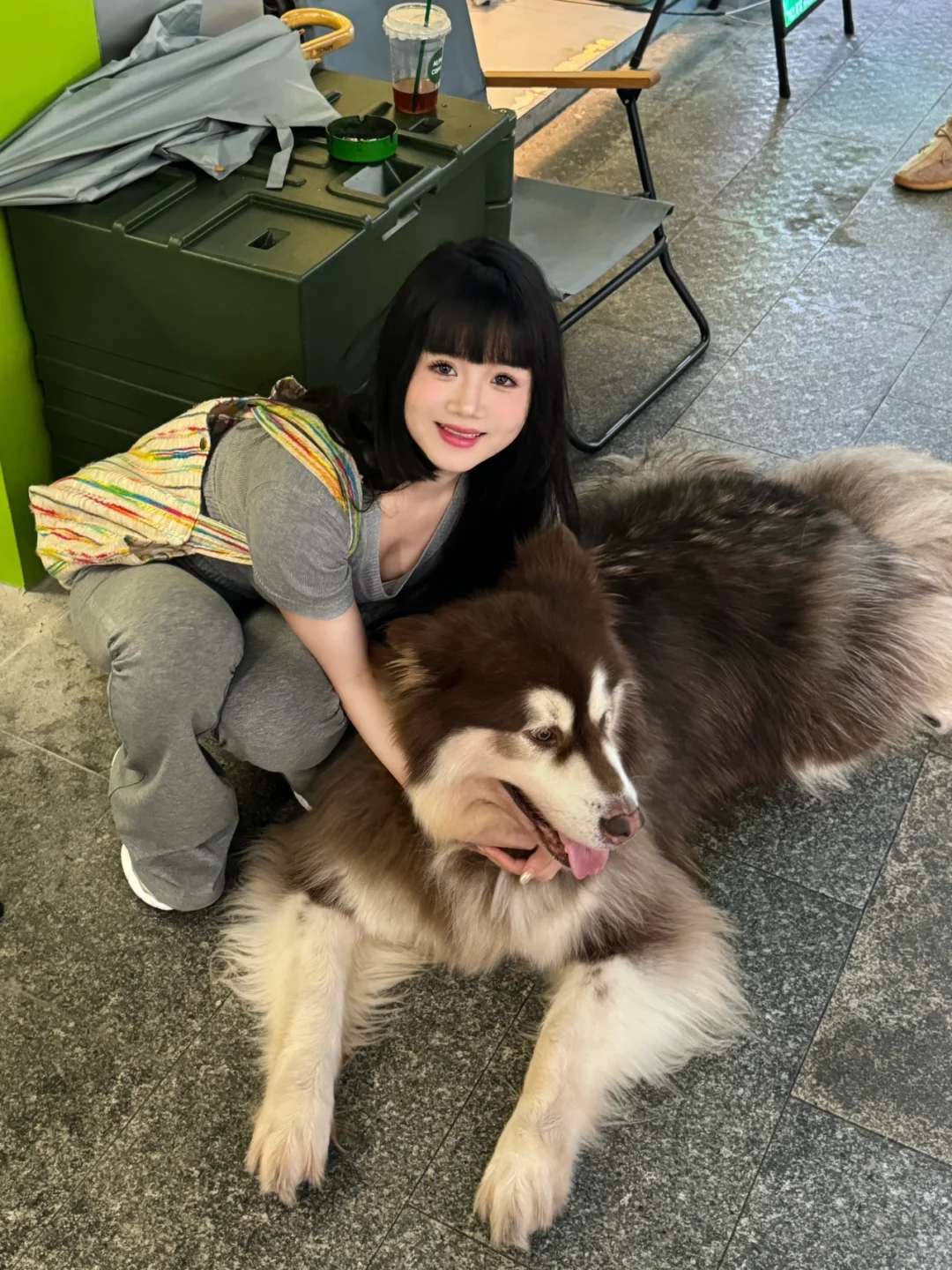 逛街偶遇的小狗狗