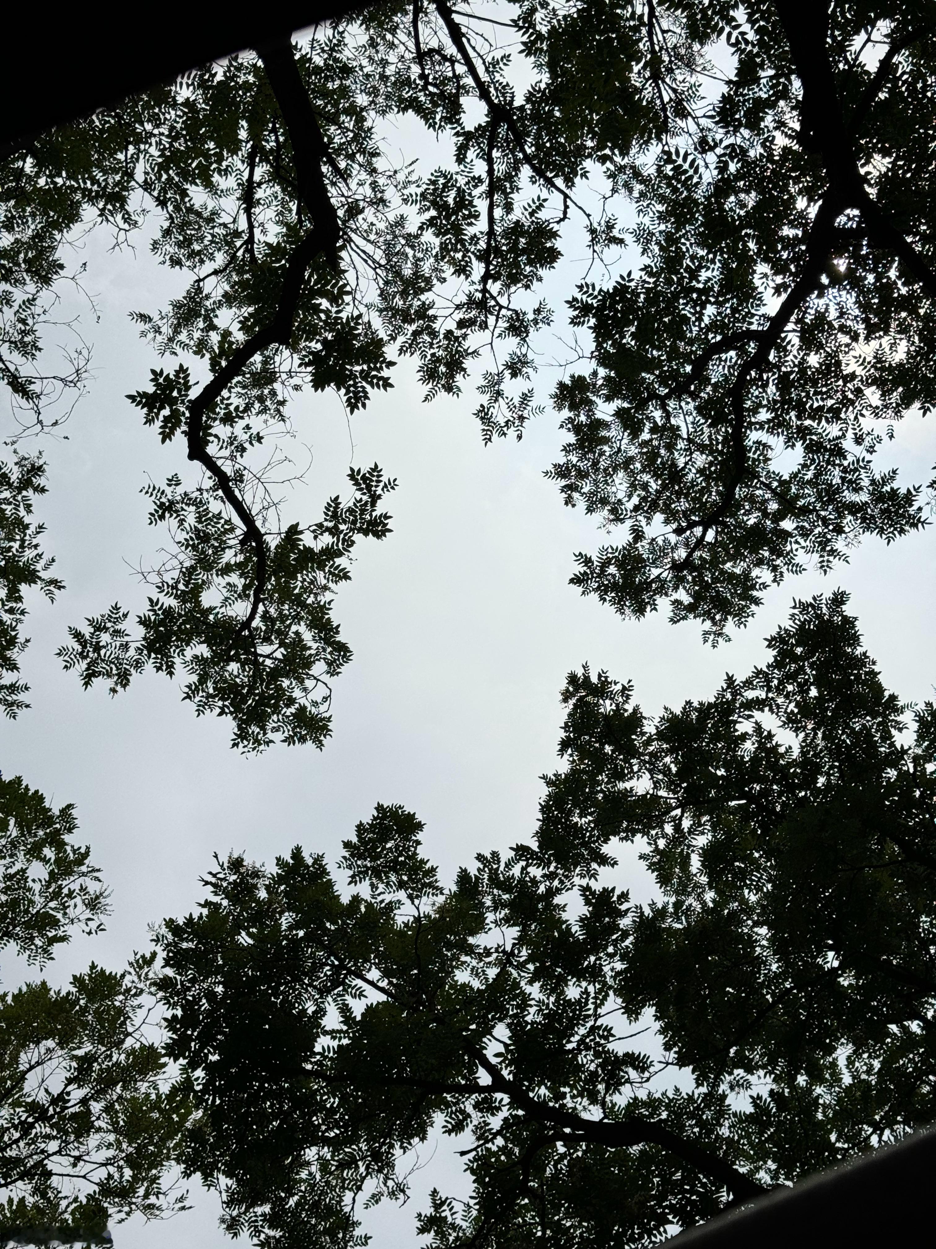 两点半睡四点半起 我现在整个人都是懵的[开摆]  ​​​