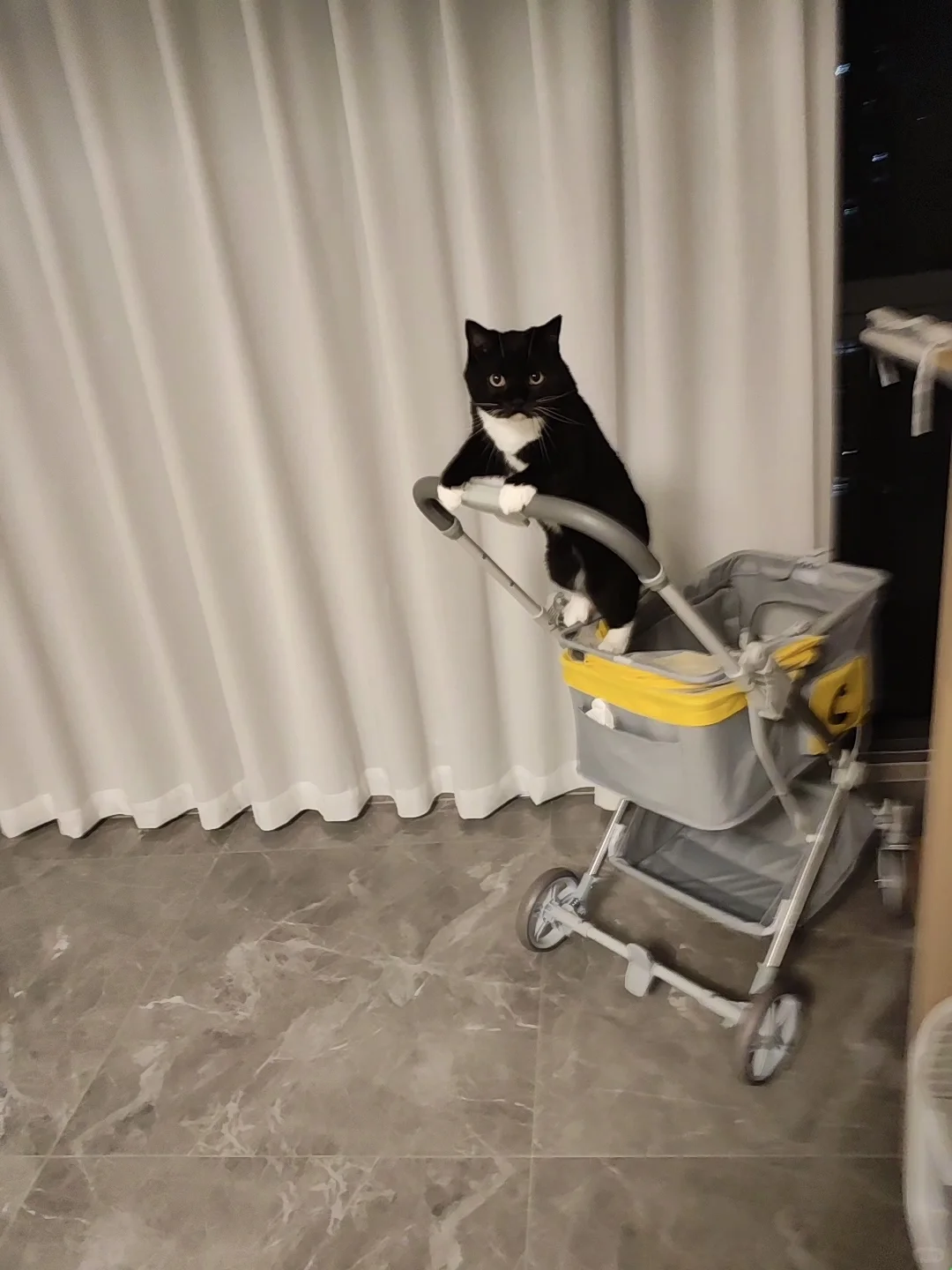 奶牛推车，但差点失足