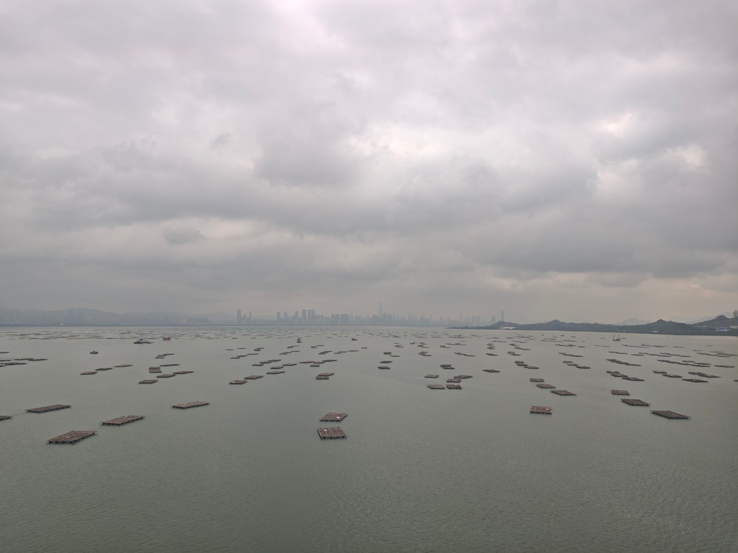 好多年没有从深圳湾口岸过香港了，本来想直接口岸找个商务车坐过去机场就好了，但看了