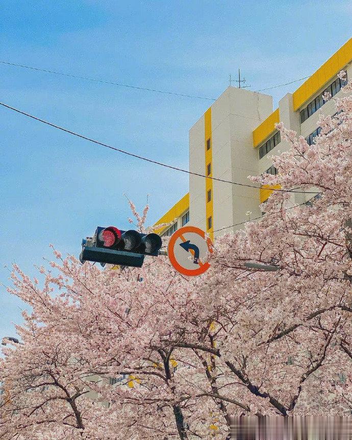 需要很长时间才能交出真心的星座：NO1:天秤座：自我保护意识强NO2:处女座：个