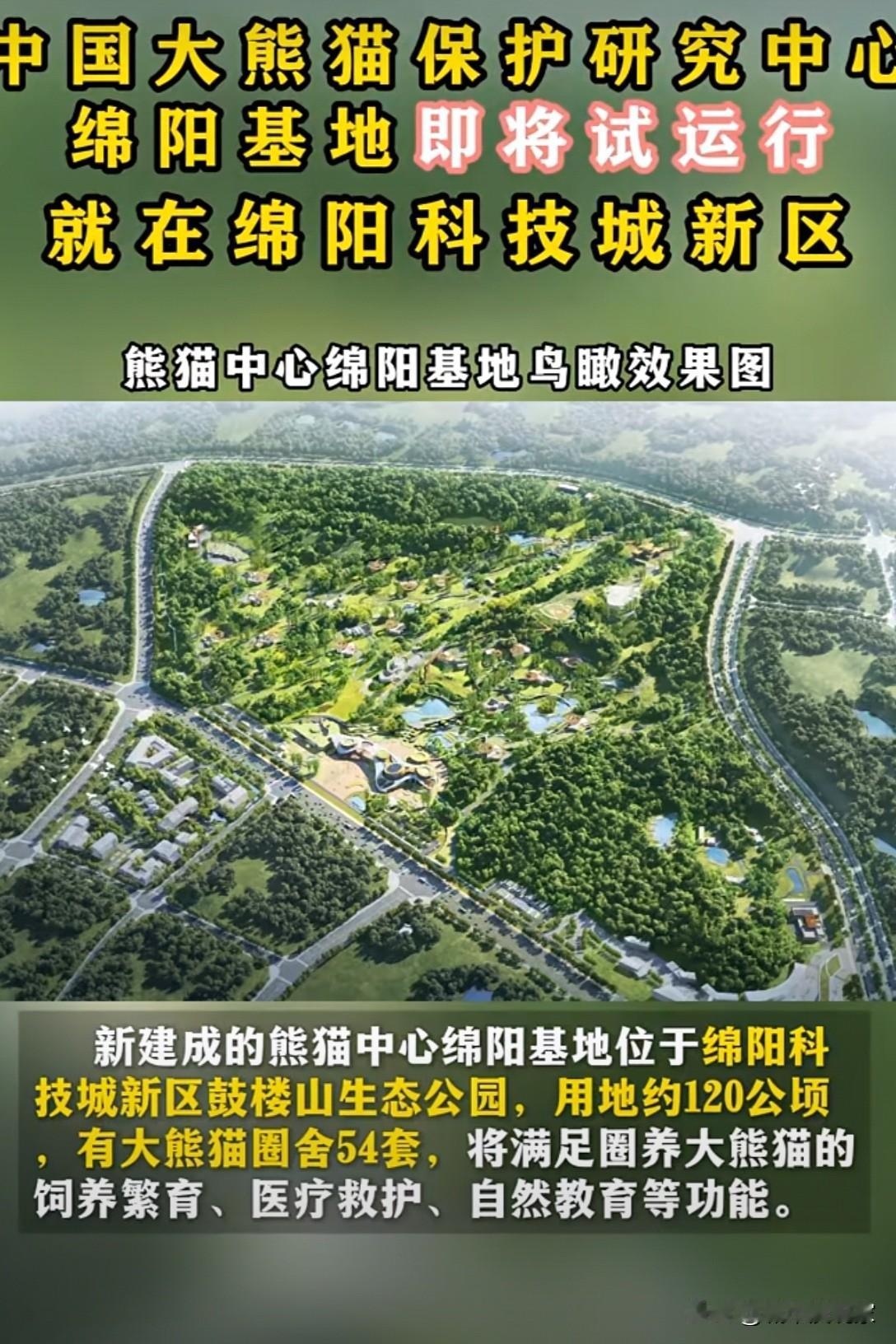 太低调了！绵阳熊猫基地开园啦！原来四川熊猫数量第一的是绵阳，有418只野生大熊猫