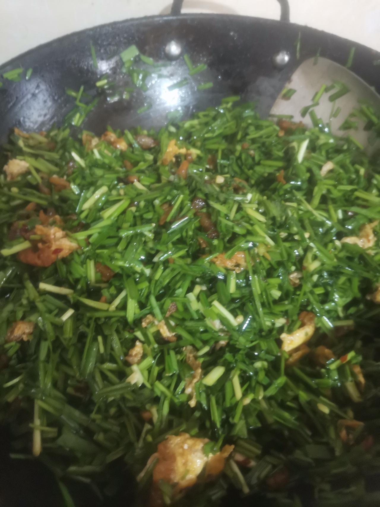 上午十点来我妈家。我妈和了一团面在醒发，切了一钵韭菜，正在切卤肉。

我接过来，