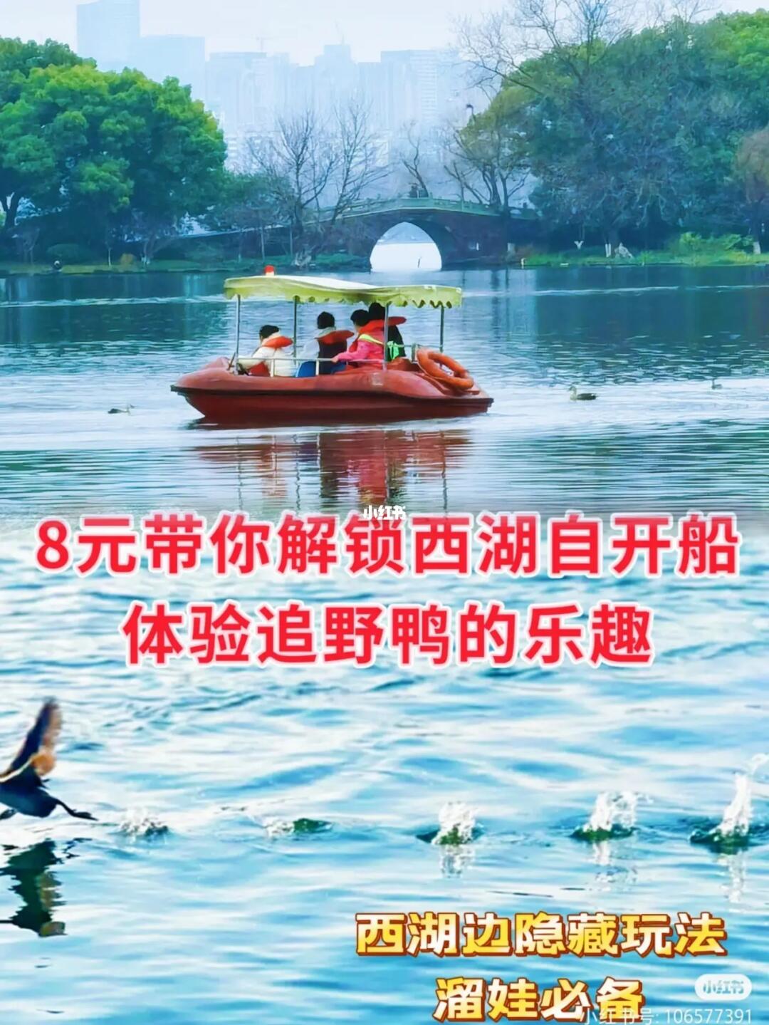 8元西湖自开船追野鸭（西湖边的隐藏玩法）