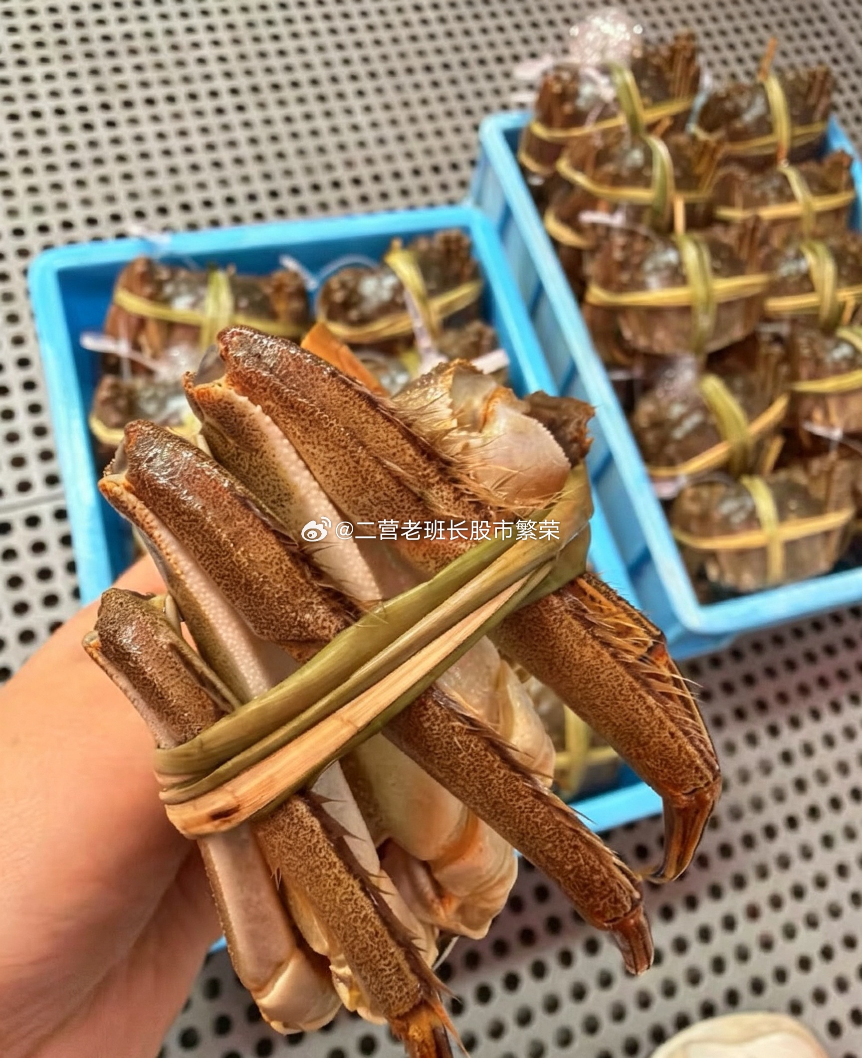 阳澄湖大闸蟹微博 阳澄湖大闸蟹欢迎您，美不美看大腿，这品相就问你怎么样你可以不买