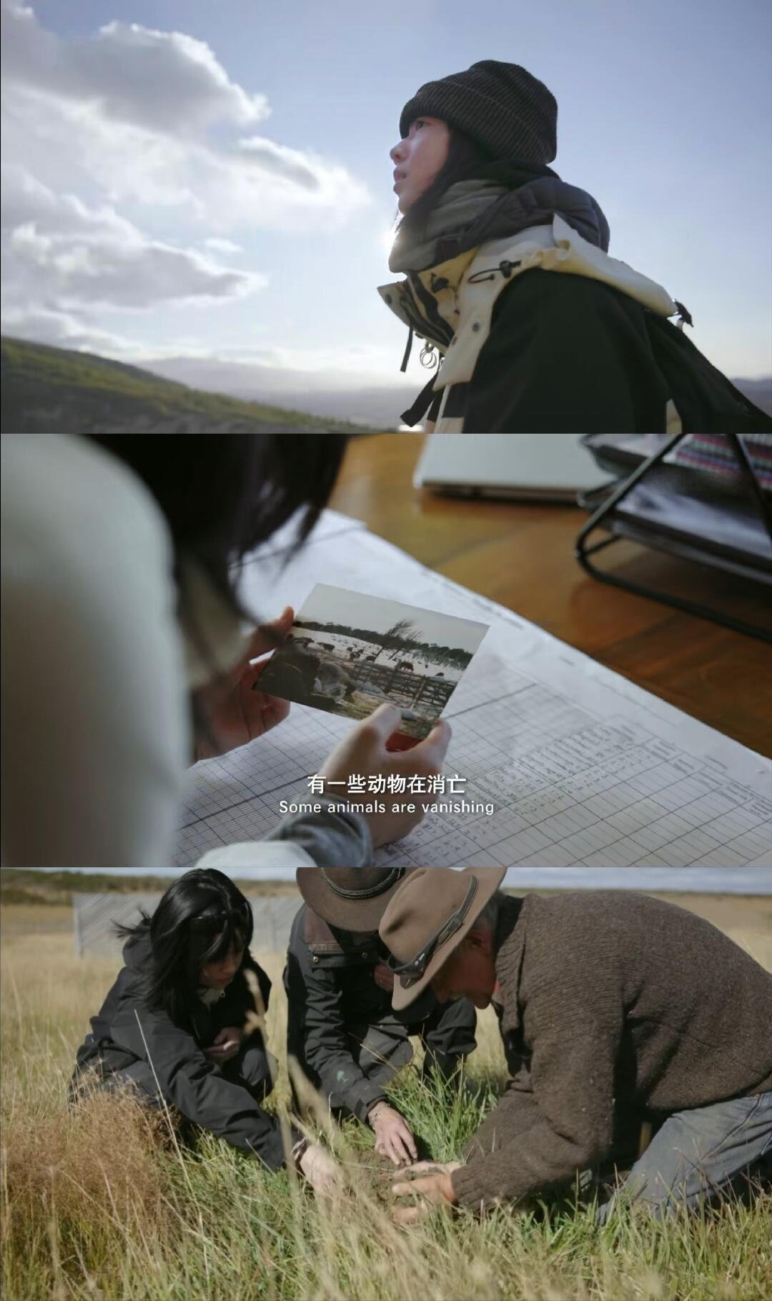 优酷有点东西优酷作品质量越来越好了暂停忙碌来见证高光时刻，吴京老师作品成功斩获泰