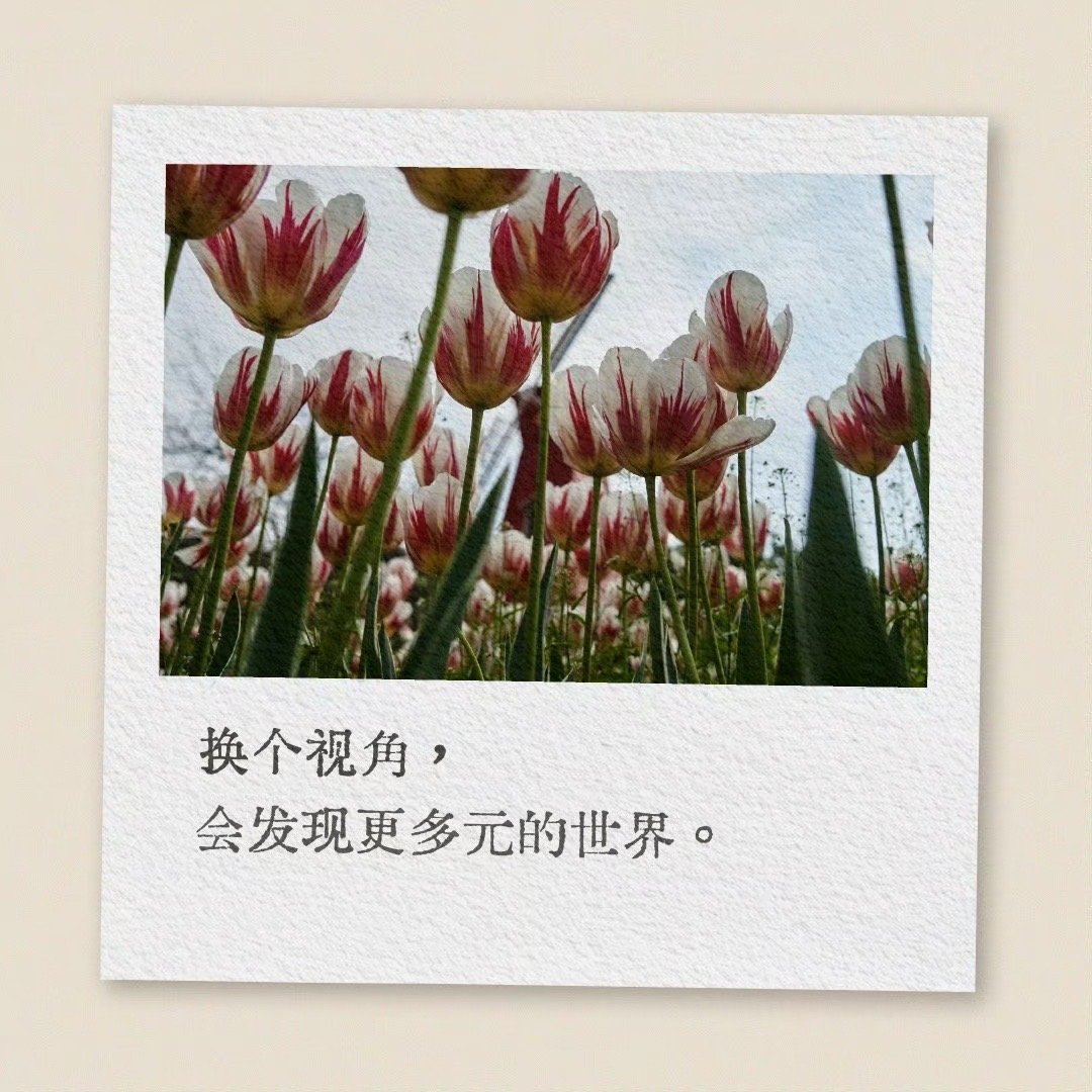 赵丽颖换个视角  哇哇 ​​​