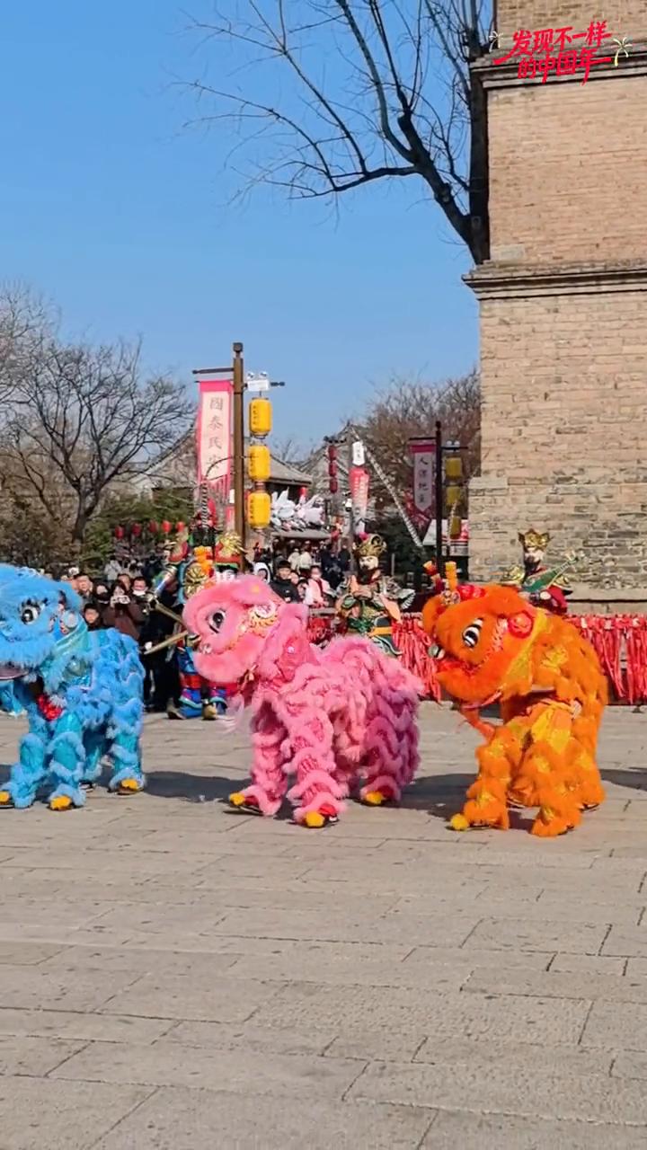 洛邑古城春节迎宾，四只彩狮跳街舞可爱萌翻天。
洛阳洛邑古城春节开城迎宾彩狮跳街舞