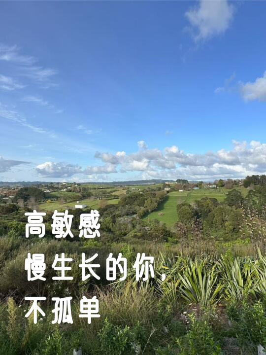 高敏感自由职业者的慢生长告白