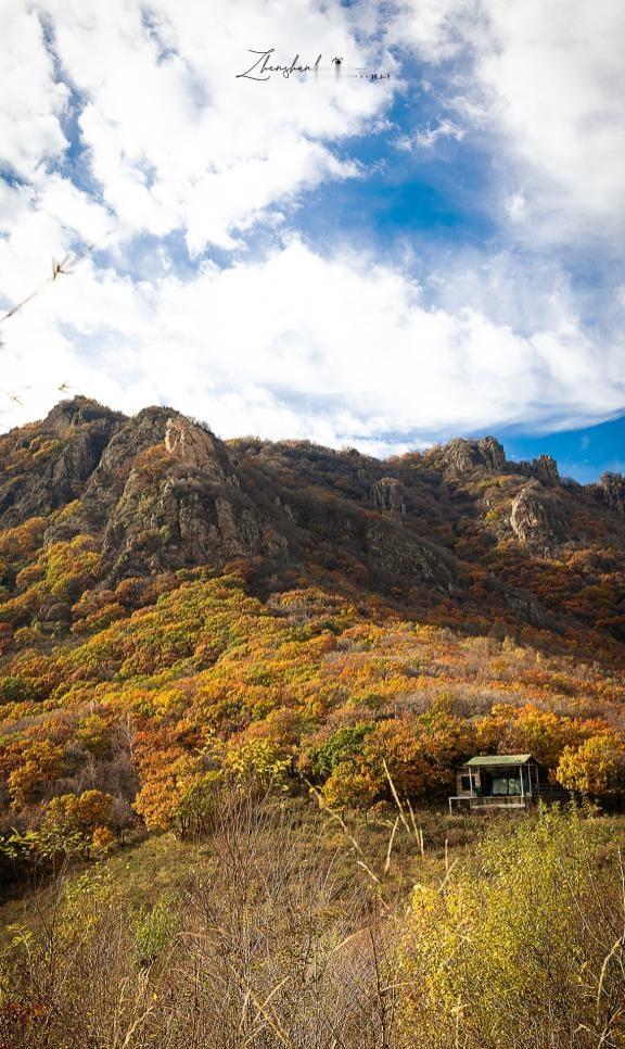 亲身经历！赏秋去百瑞谷一定记得要…
穿羽绒服！！！美则美矣，挨冻了X﹏X，山顶的