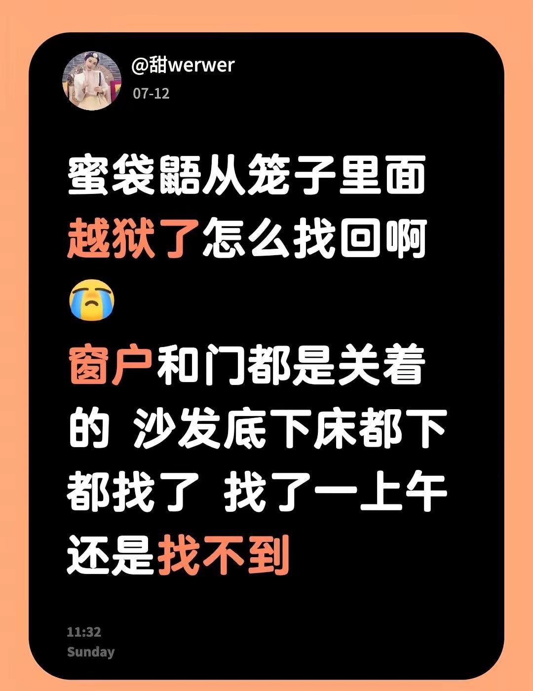 蜜袋鼯从笼子里面越狱了怎么找回啊窗户和门都是关着的 沙发底下床都下都找了 找了一
