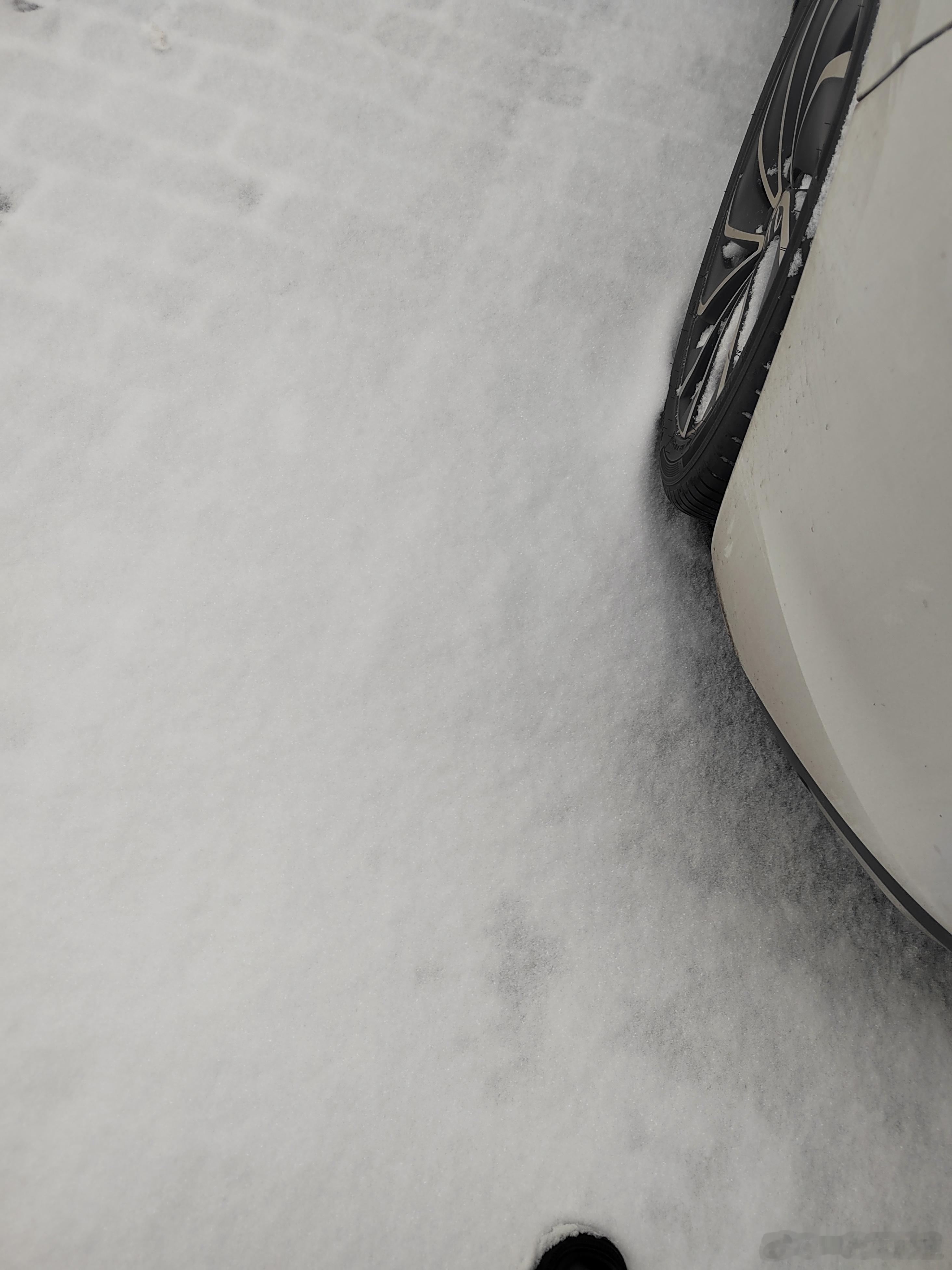 江苏娃好多年没见过这么大的雪啦！❄️❄️❄️❄️❄️❄️❄️❄️❄️❄️❄️❄️