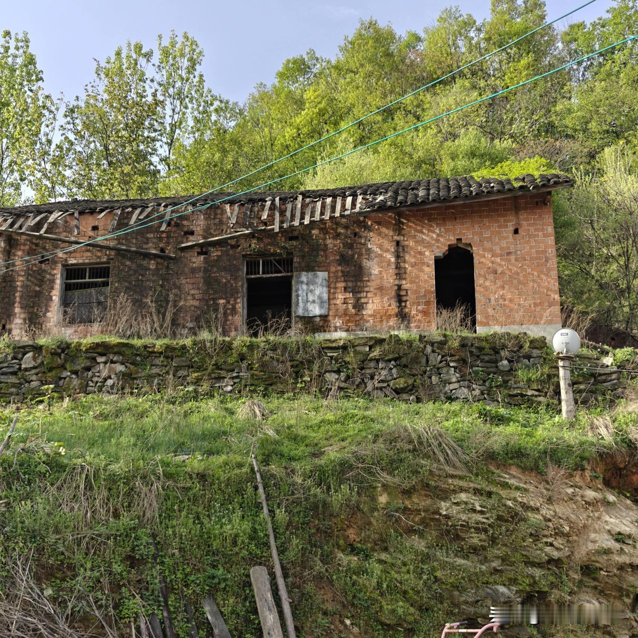 昨天在一个深山老林里看到，20多年前的旧房子。到处打听，才晓得房主已经不在了。他