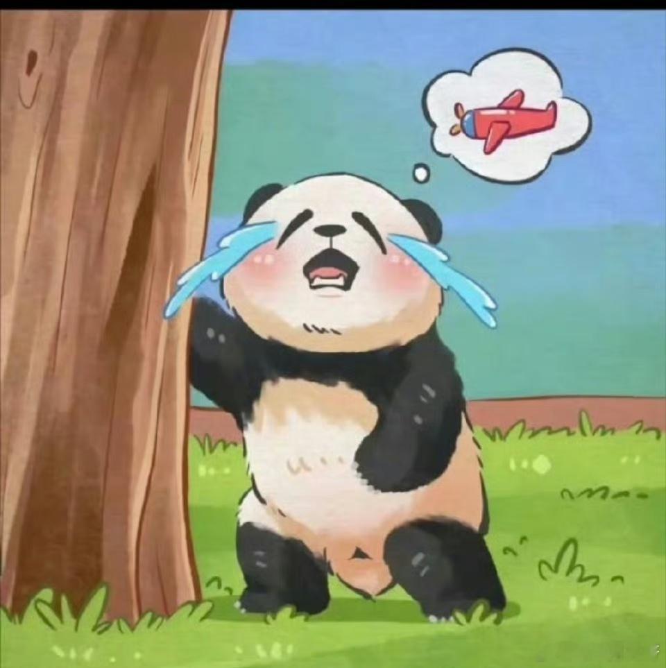 一只熊猫能淘成什么样 