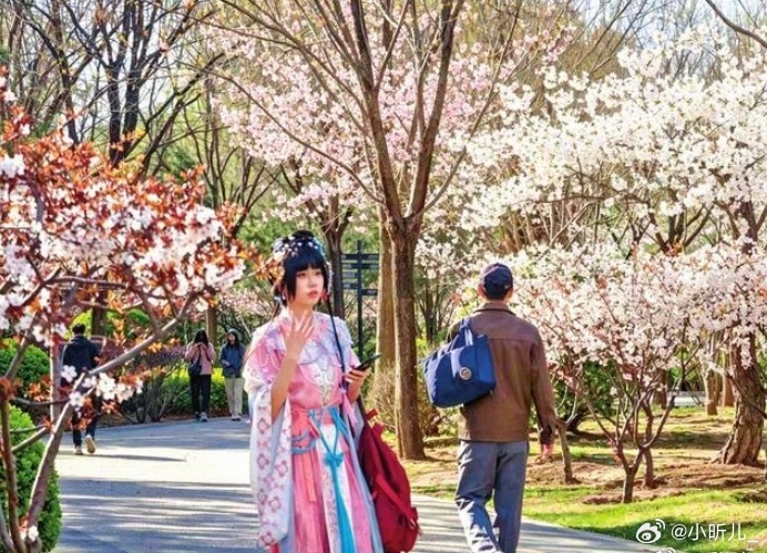银川人小长假最爱踏青银川人踏青吸氧治愈身心，氛围感满满。保定人赏花氛围感绝佳，繁