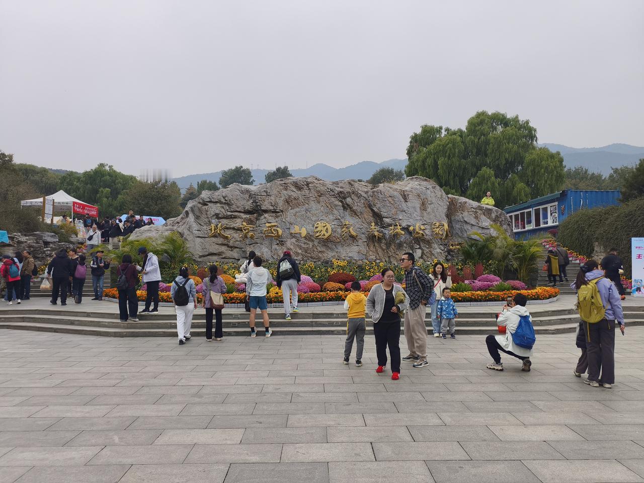 你知道北京人有多么爱看红叶吗？这里讲个我刚刚亲身经历的看红叶事情，你就明白了。