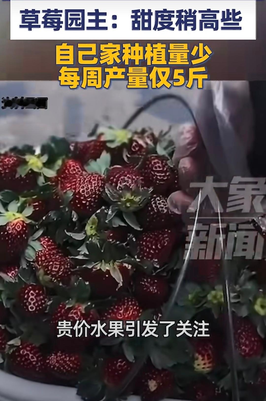 黑草莓售价高达300元一斤甜度稍高，口感区别不大到底是谁在吃这玩意？？