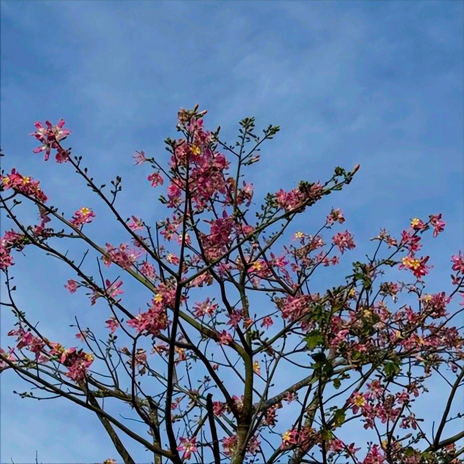 法学博士马怀德履新人民大学
 
今天，人民大学传来好消息：马怀德博士履新该校。