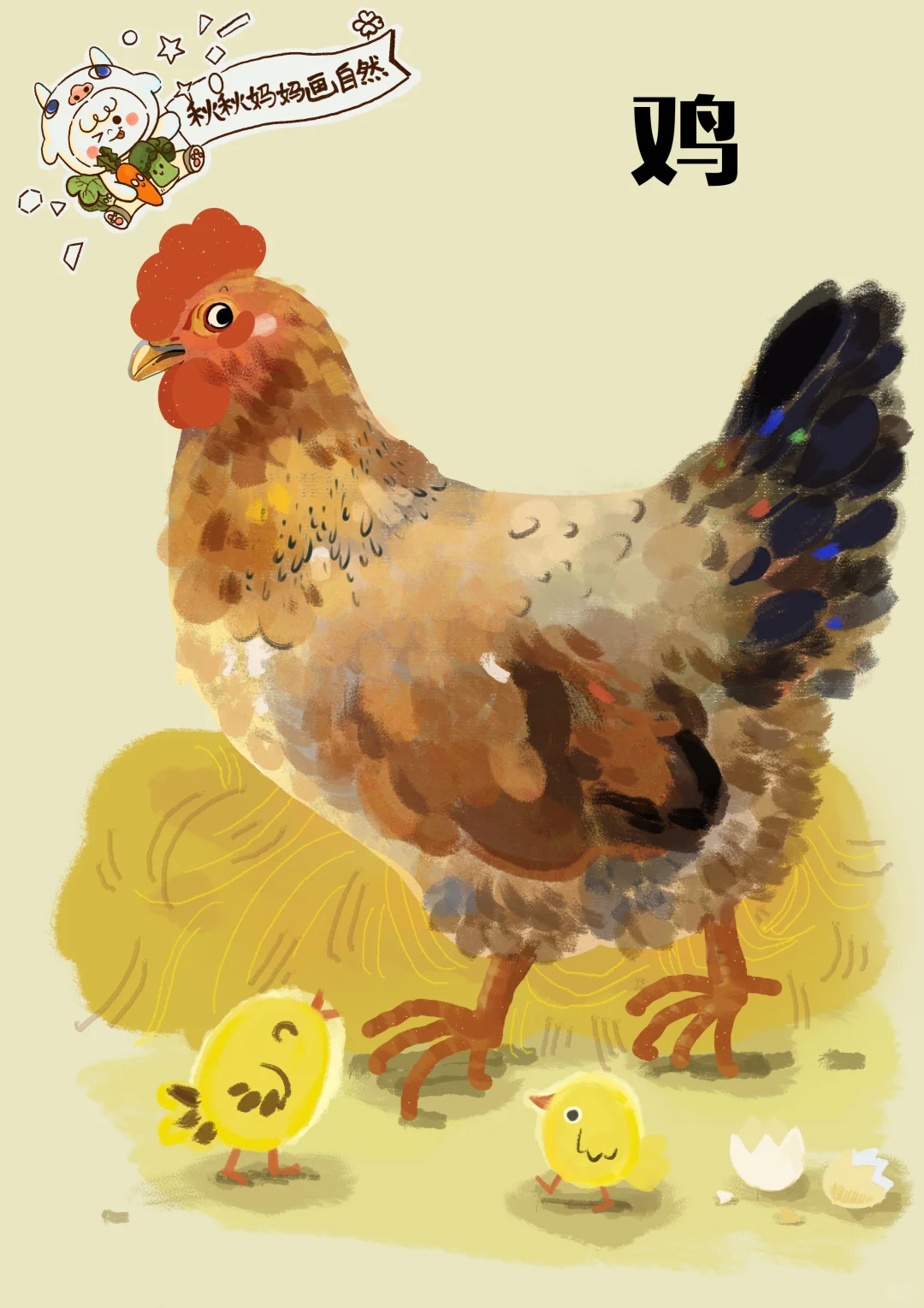 原创科普｜鸡｜母鸡也有鸡冠哒
