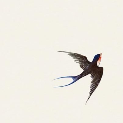 世乱同南去，时清独北还。他乡生白发，旧国见青山。 晓月过残垒，繁星宿故关。寒禽与