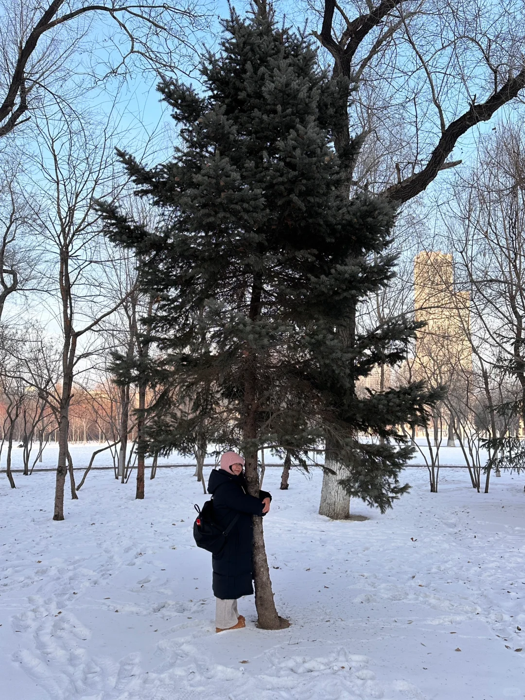 圣诞树🌲 抱住！