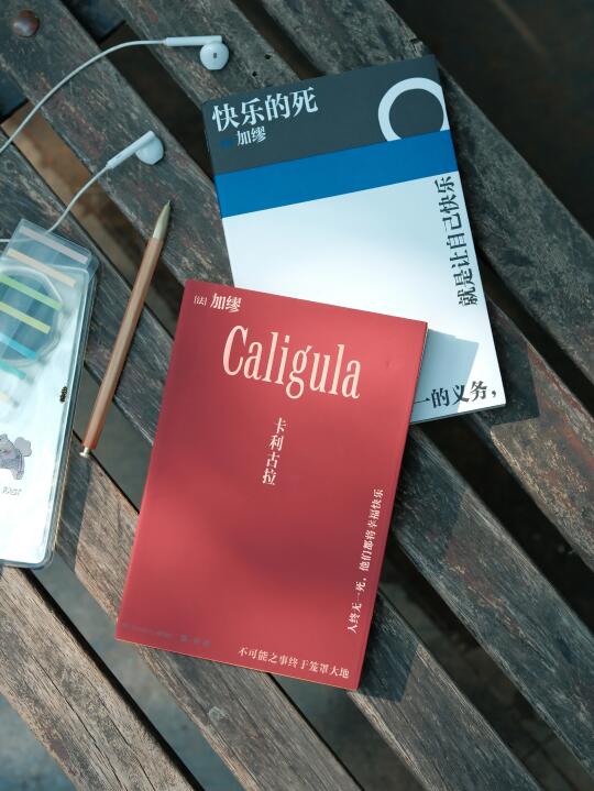 如果牌桌上一切都不合理，那我就把牌桌掀翻