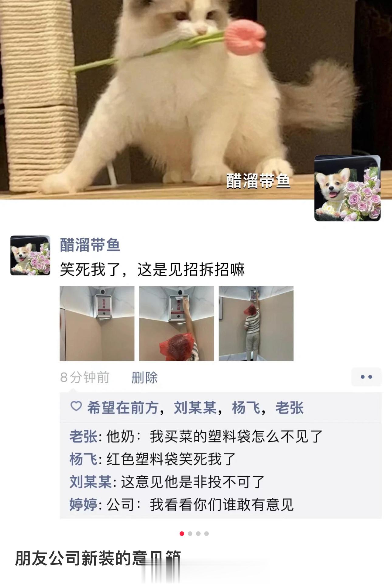 这个意见就非投不可吗 #搞笑# ​​​