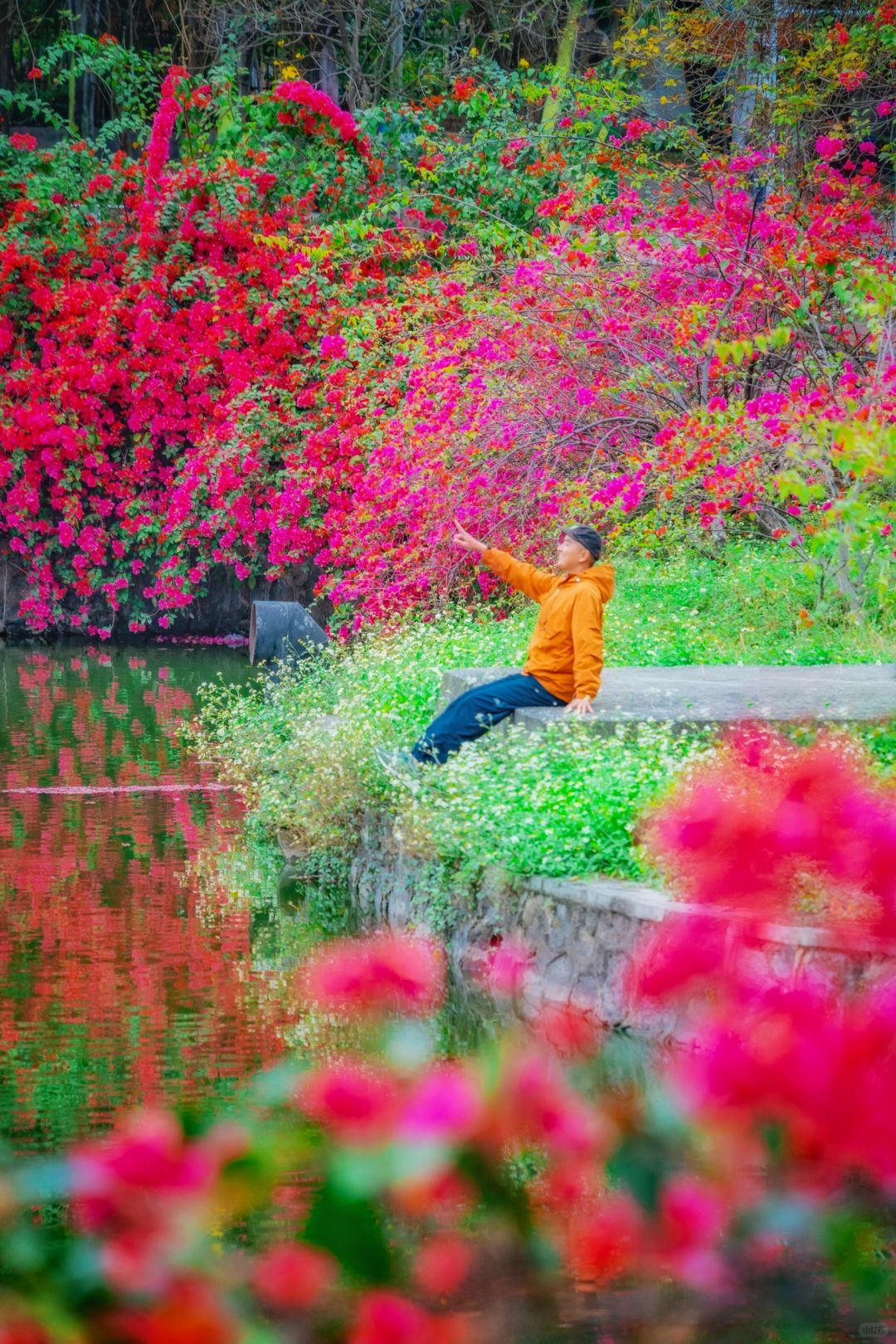 广州华农春日赏花指南🌸附超详细拍照地图