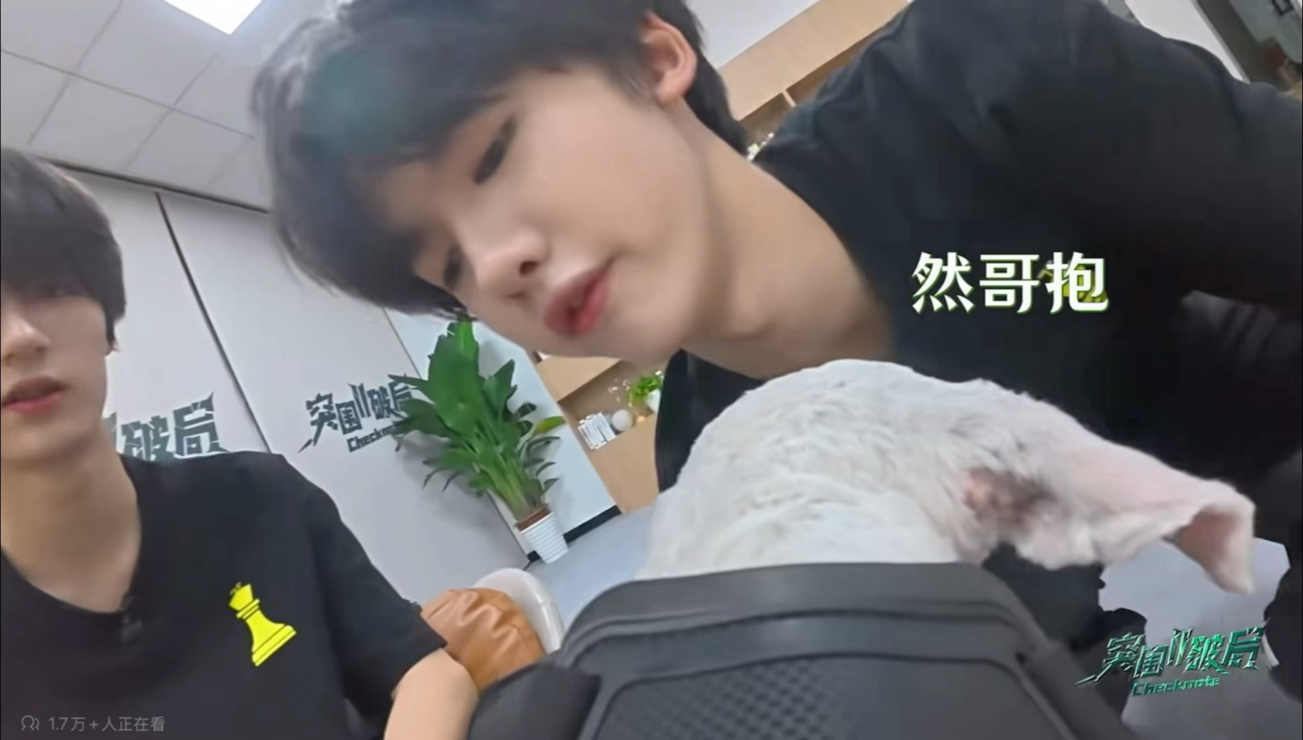 羡慕都说倦了 我也要然哥抱… 
