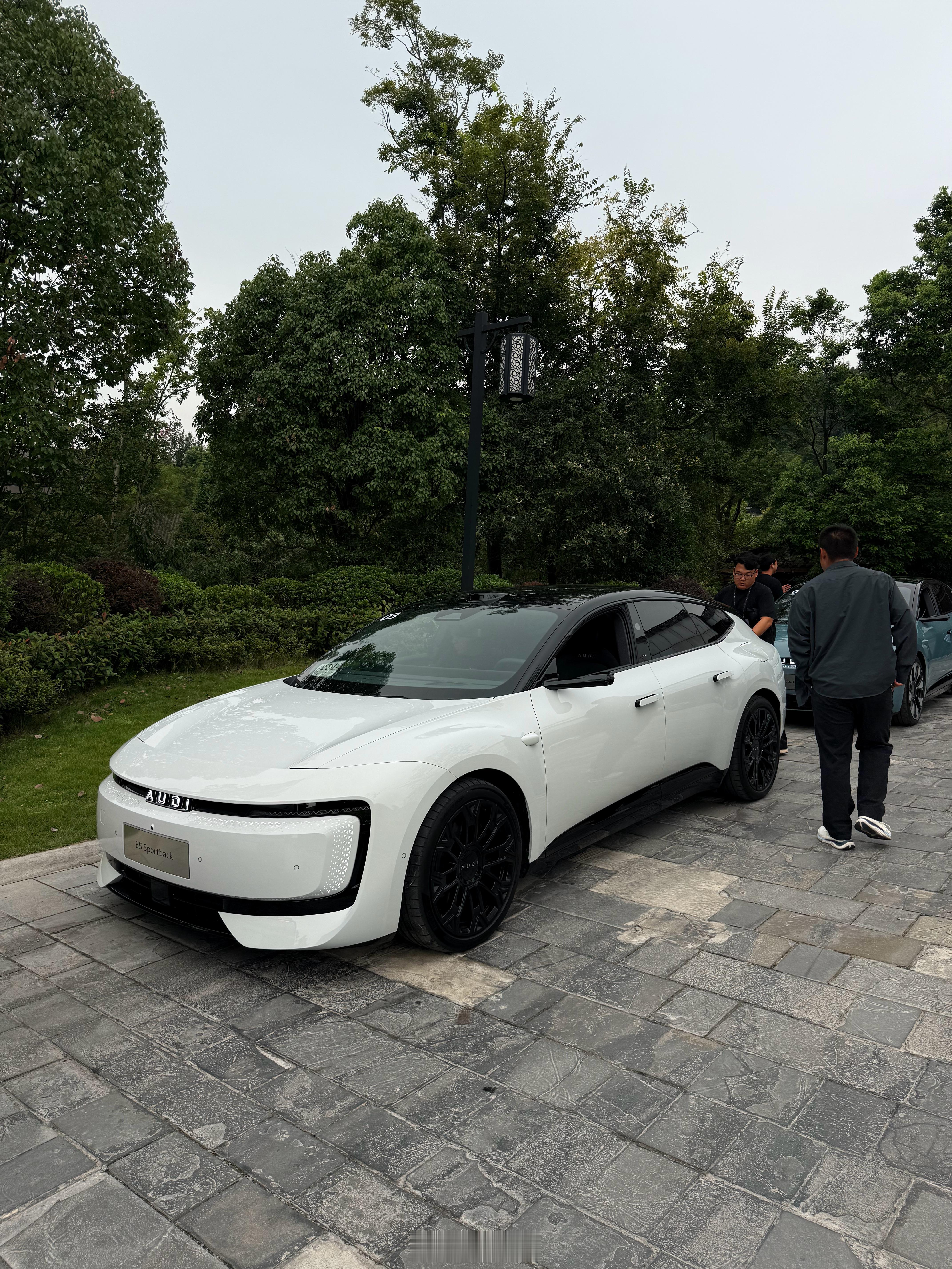 上汽奥迪E5 Sportback上市六大颜色。各位挑挑？哪个好看！我依然是站黑色
