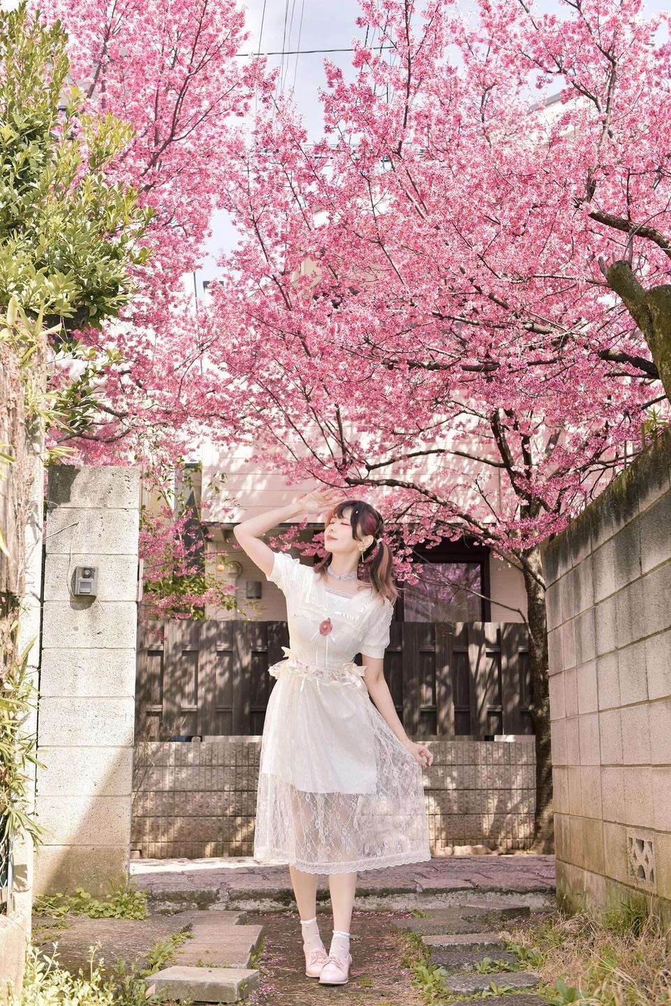 怎样才能把女生拍出清纯的感觉粉红樱下白裙舞