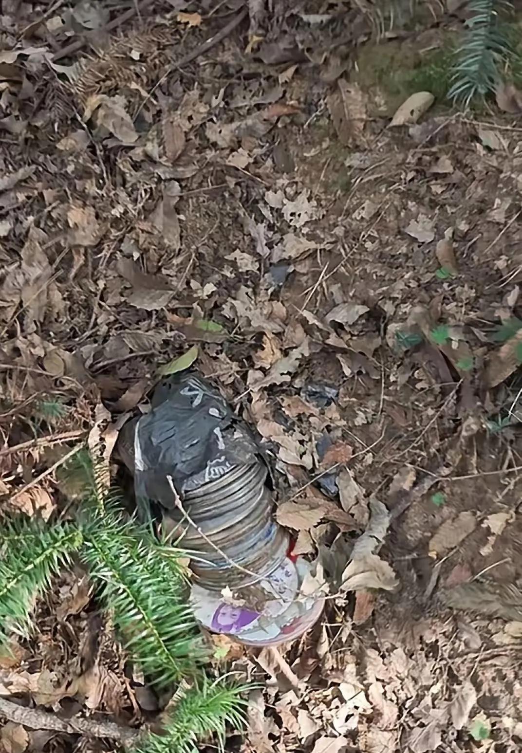 爬山时偶然发现了一堆老影碟，这东西还能修复好吗？