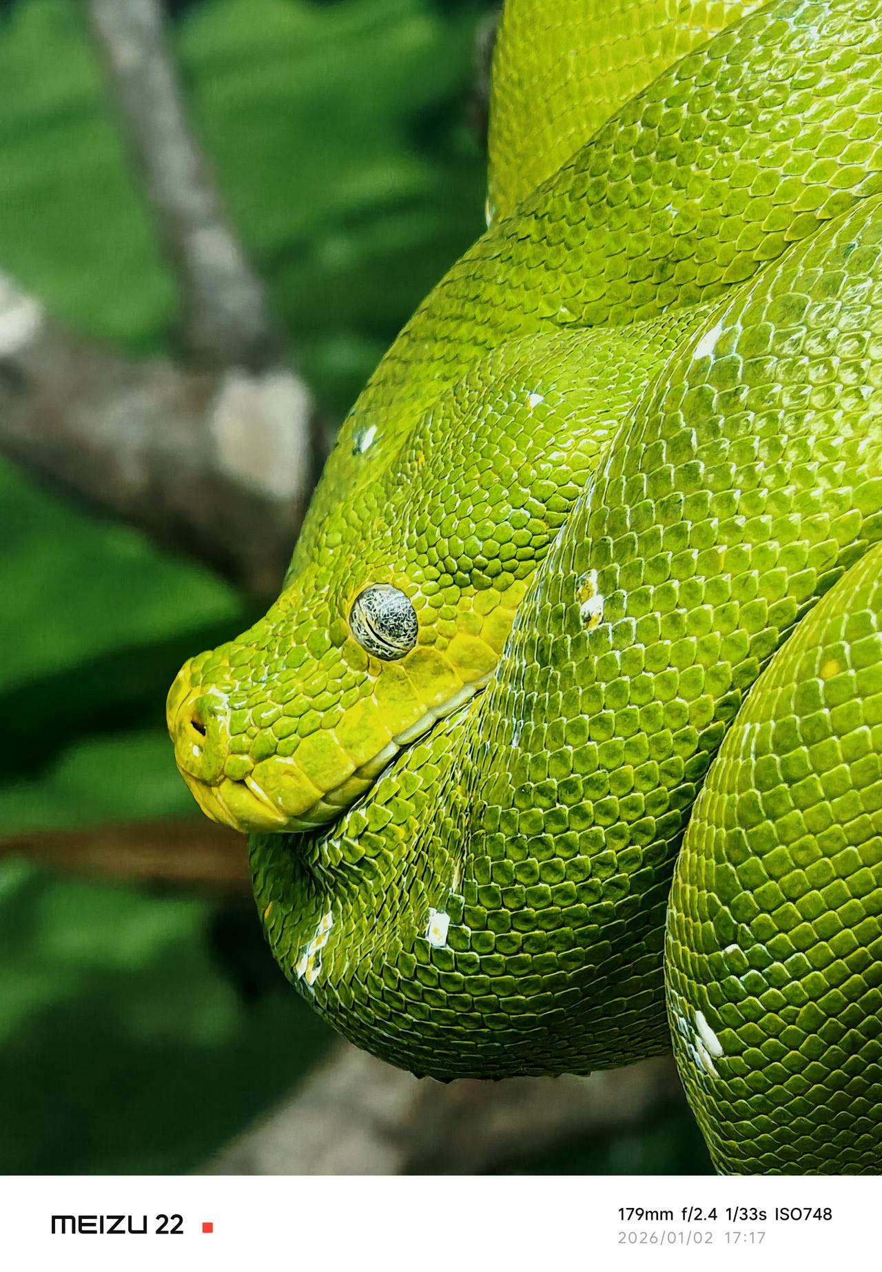 魅族22原相机直出。