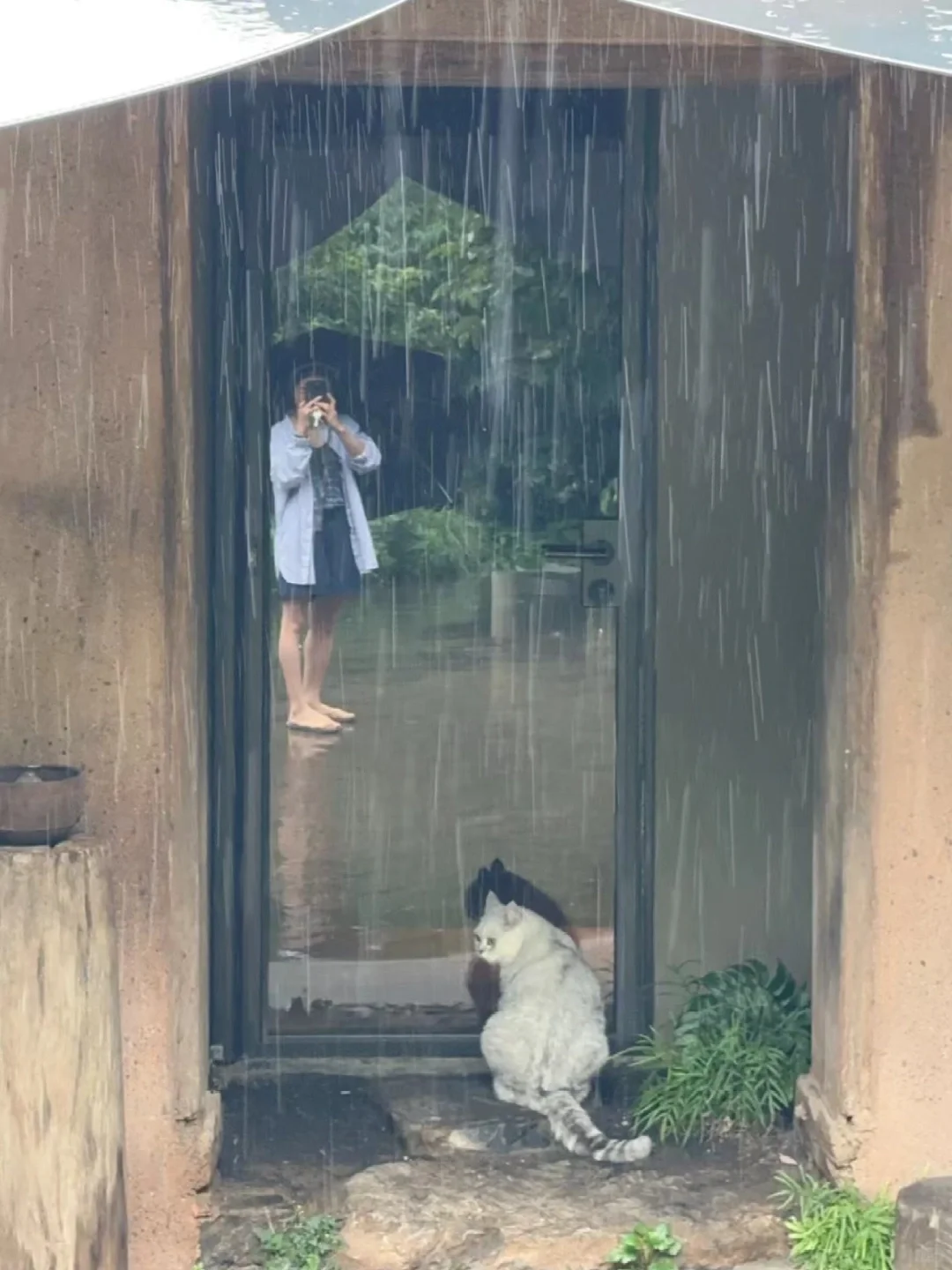 🫠就让这大雨全都落下