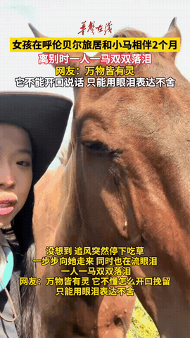 “太有灵性了！”内蒙古呼伦贝尔，女子哭着和一匹马告别。没想到，马也流泪了。她问马