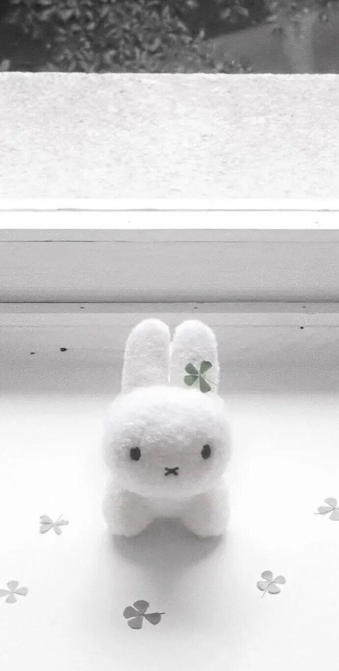 share 韩系背景图分享源网侵删 