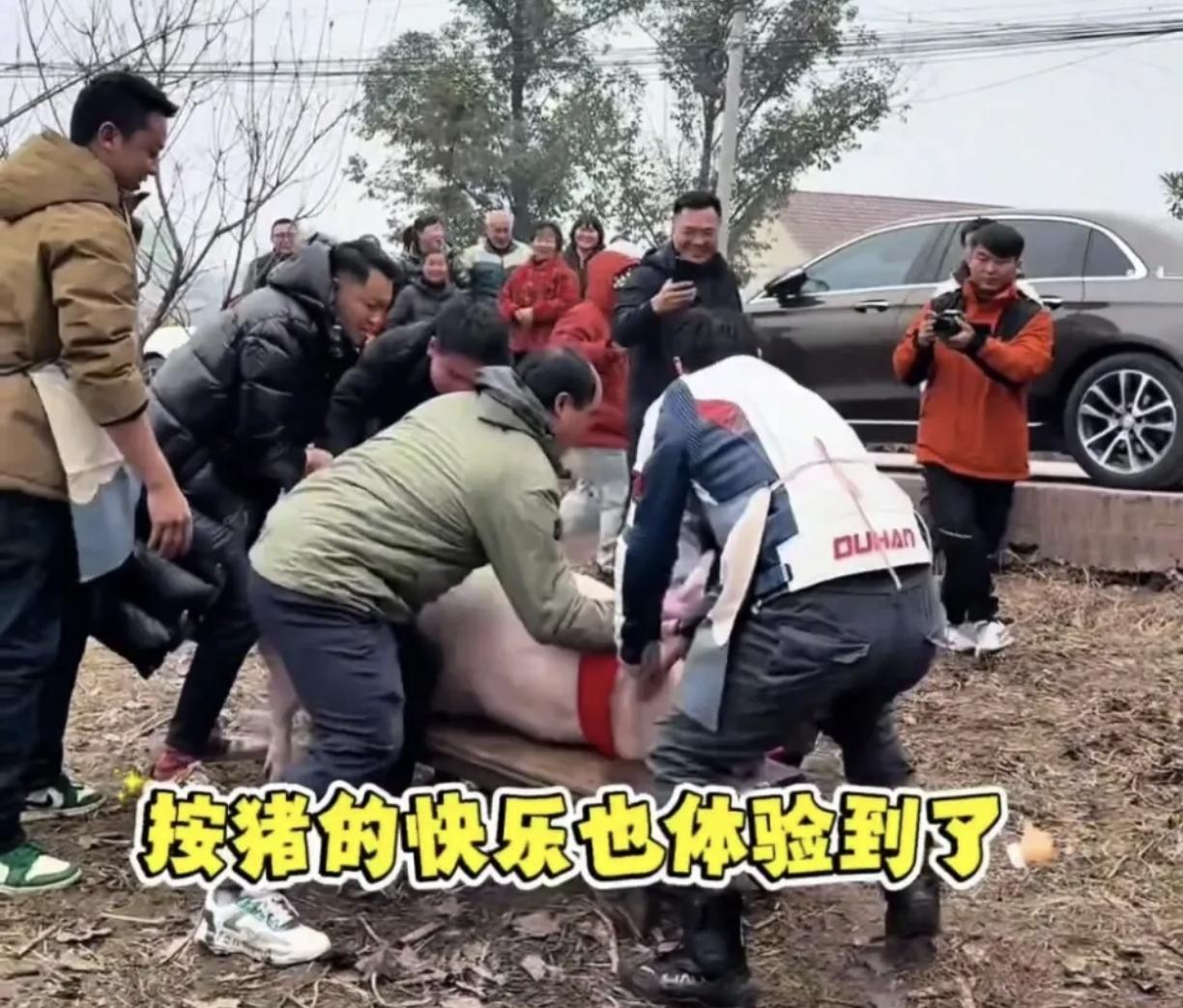 我既没钱办杀猪宴，也不找人按猪，我想多些粉丝的陪伴，怎么办？

这句话表达了你对