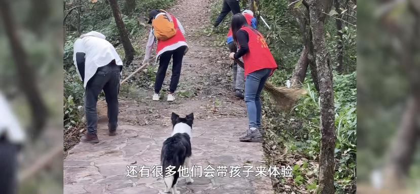 贵州黔西南33岁的靳先生，去公园锻炼时发现路被杂草挡了。他干脆把除草当运动，半年